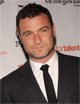 ray-donovan ray-donovan