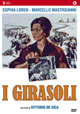 i-girasoli i-girasoli
