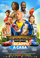 scappo-a-casa scappo-a-casa